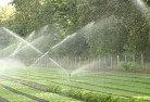 Tomeronglandscaping-water-management-and-drainage-17.jpg; ?>